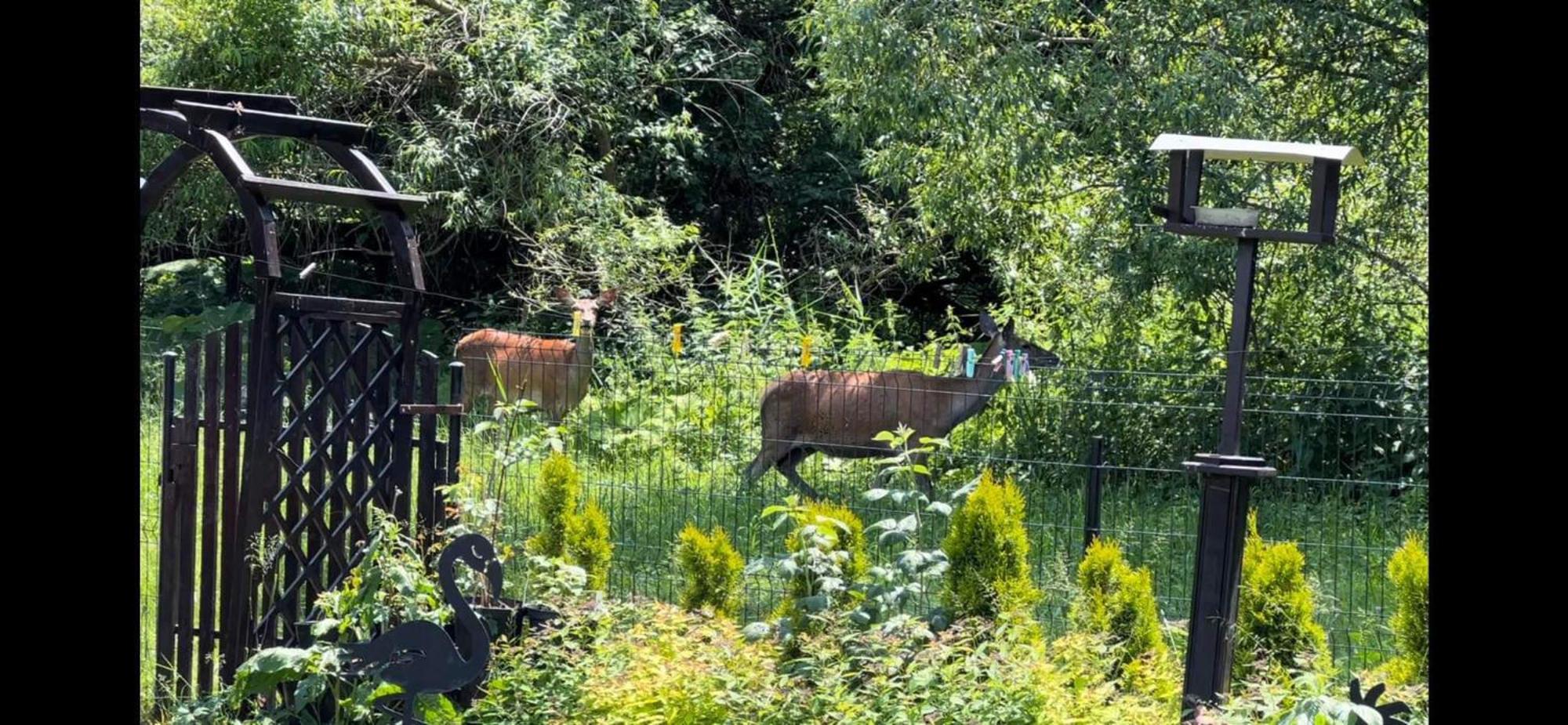 Privat Forest Liptovsky Mikulas Bagian luar foto